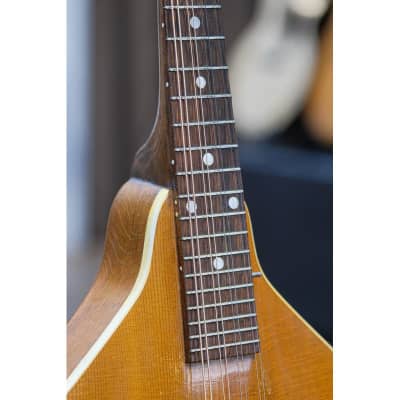 1950s Gibson A-40 natural image 6