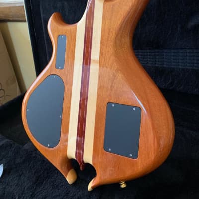 Alembic Darling With LEDs New Old Stock Cocobolo image 6