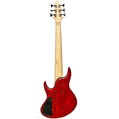 Miura MBR Fretless 6-String Electric Bass Guitar image 4