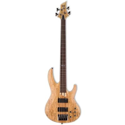 ESP LTD B-204SM Fretless Bass Guitar image 2