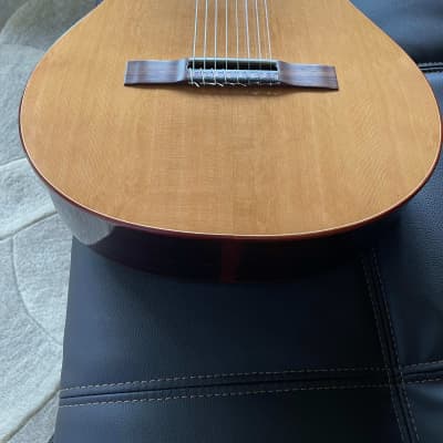 Rich DiCarlo 8 String Classical Guitar 2006 French Polish image 17