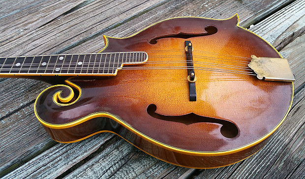 Kasuga mandolin sales