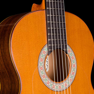 Graciliano Perez flamenco guitar “mixed earth” 2024 image 6