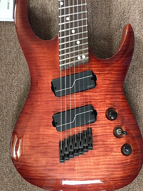 Fishman fluence multiscale sale