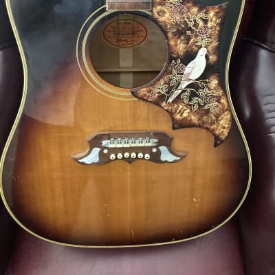 Gibson Dove 1962 - 1967 | Reverb