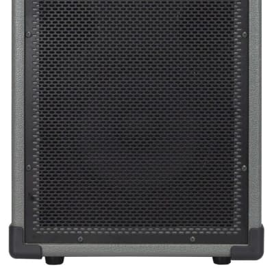 EUPHONIC AUDIO IAMP 200 Bass Combo Amplifier (Philadelphia, PA) | Reverb