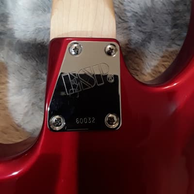 ESP (Slayer Signatures) Guitar Body Only image 2