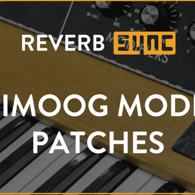 Patches for Minimoog Model D - SYNC Exclusive image 1
