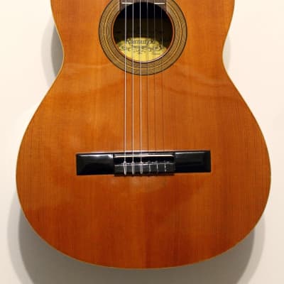 Guitare Classique Raimundo Model 100 image 2