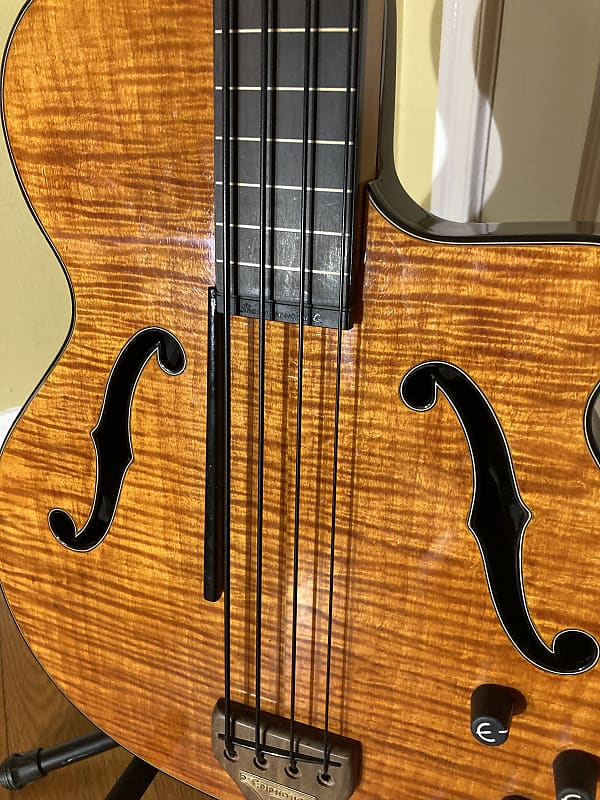 Epiphone Zenith Fretless Bass with hard case & Hipshot drop D Reverb