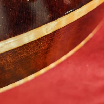Eastman Otto D'Ambrosio El Rey Hollowbody Electric Guitar - Original Hard Case-Solid Wood Beauty image 25