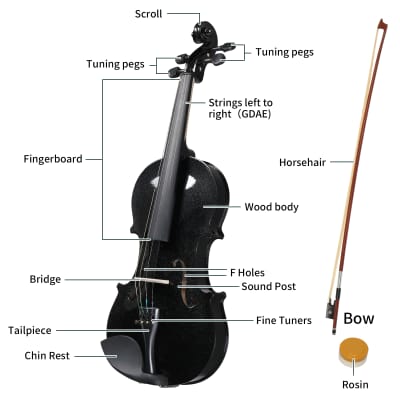 Unbranded Full Size 4/4 Violin Set for Adults Beginners Students with Hard Case, Violin Bow, Shoulder Rest, Rosin, Extra Strings 2020s - Black image 14