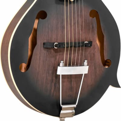Gold Tone F-6 Long Scale Manditar Mando-Guitar with Case image 2