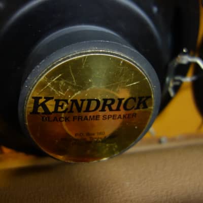 Kendrick Model 2410 with Reverb unit 1995 Tweed image 3