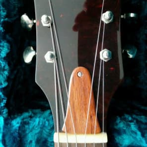Echopark The Crow guitar - Josh Homme QOTSA image 6
