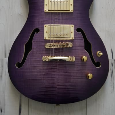 AIO Wolf KLP 45FM Electric Guitar - Purple Burst w/Gator Hard Case image 2