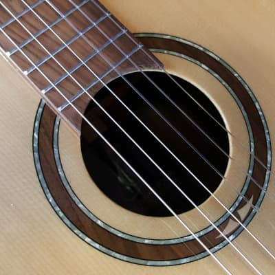 ORTEGA Private Room Striped Suite CE Acoustic Electric Cutaway Classical Guitar w/Bag image 10