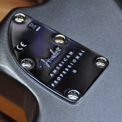 Fender American Professional Precision Bass RW Mercury image 17