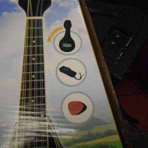 Orleans Mandolin with Gig Bag demo Model image 2