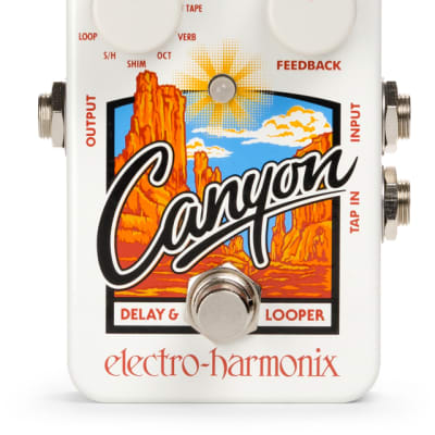 Electro Harmonix Canyon Delay and Looper, 9.6DC-200 PSU included image 2