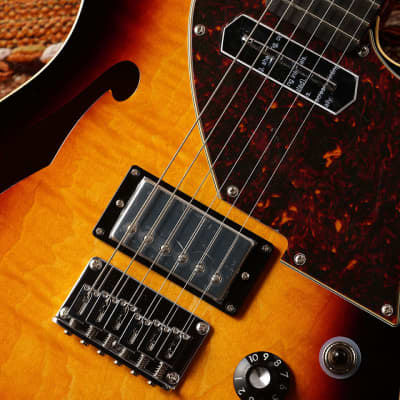 K.Nyui Custom Guitars KN-TE Thinline w/Lollar CC P.U & Imperial HB #1745 - Custom 2TB image 3