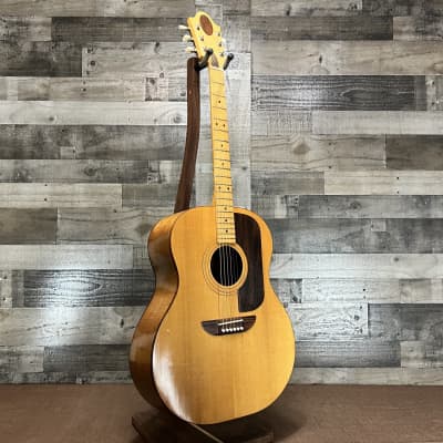 Ernie Ball Earthwood Jumbo 6-String Guitar w/ HSC image 2
