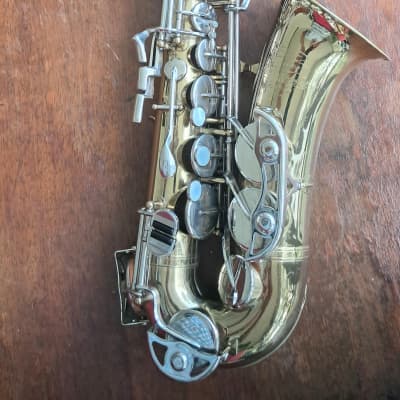 berkeleywind C Bb cornet | Reverb berkeleywind C Bb cornet | Reverb