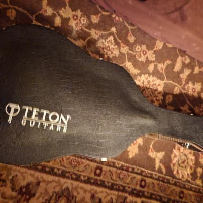 Teton  STS000ZIS Acoustic Guitar w/hard Teton case 2021 Ziricote Satin image 13