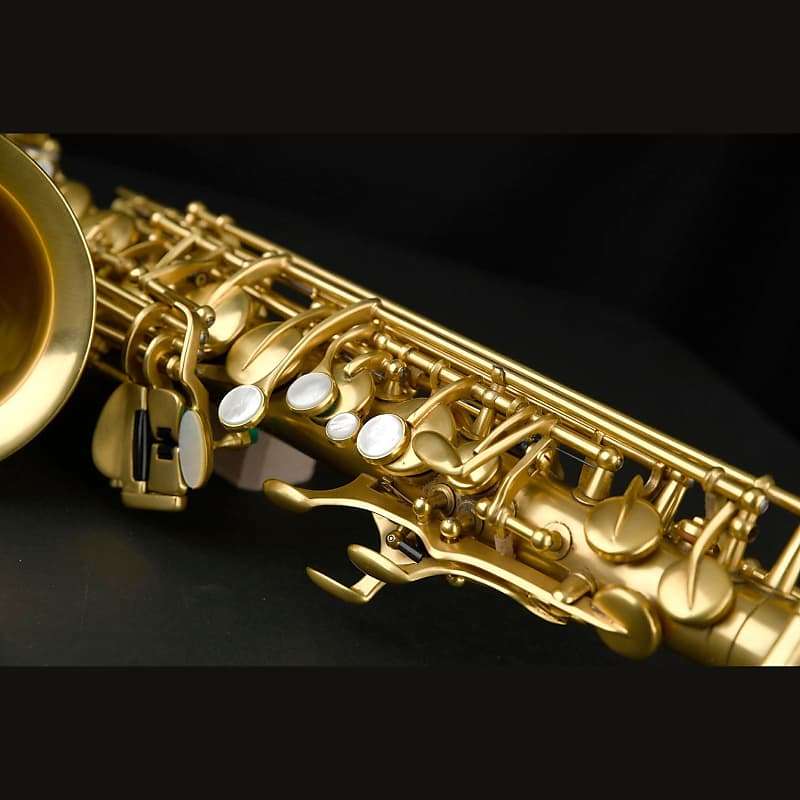 Rampone & Cazzani Solista Alto Saxophone (Gold Plated Copper Rampone & Cazzani Solista Alto Saxophone (Gold Plated Copper
