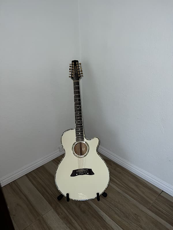 Takamine 12-String Setup - Requinto-Style - Takamine