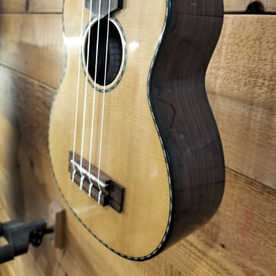 Cordoba ukulele 22S with Fishman image 4