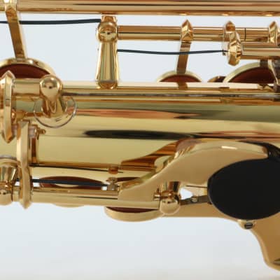 Yamaha Model YAS-62III Professional Alto Saxophone MINT CONDITION image 22