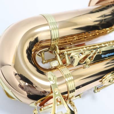 Freeshipping! Yanagisawa A-WO2[AW02] Professional Alto Saxophone image 20
