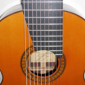 Original 1979 Ramirez 1a 10-String Classical Harp Guitar, Cedar/Indian image 13