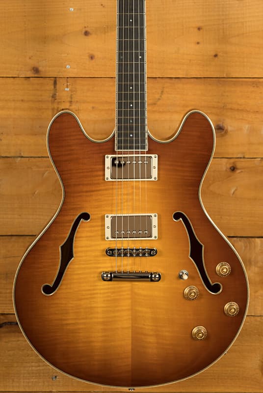 Electric Thinline - Eastman Guitars