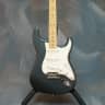 Fender American Standard Stratocaster 2009 Grey