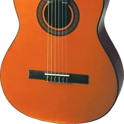 Washburn C40 Classical Spruce Top Wood Mahogany Neck Nylon 6-String Classical Acoustic Guitar image 2