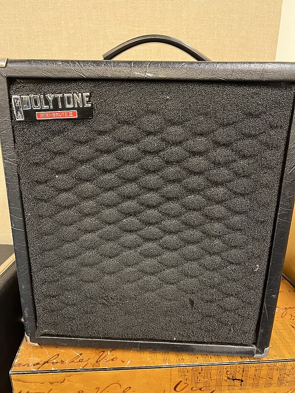 Polytone Mini Brute 2 ジャンク - アンプ