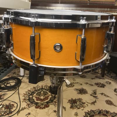 Pearl Masters MCX Maple Snare drum, 14"x5.5" liquid amber finish, 6-ply (2009) image 2