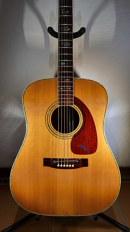 Takeharu WT-300 Folk | Reverb