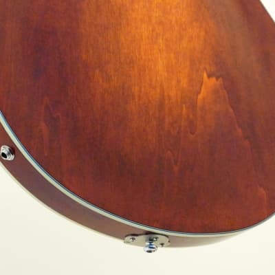 Eastman Electric Archtop T64 Truetone Vintage Gloss Classic Finish image 10