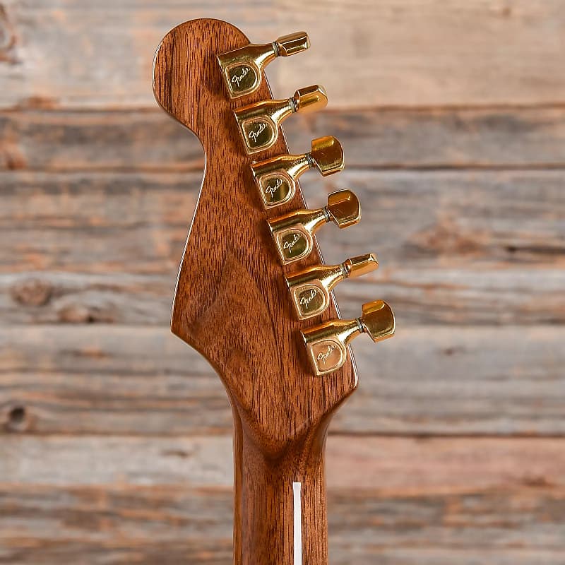 Fender Walnut "The Strat" image 7