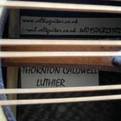 Thornton Caldwell Octave Mandolin --- Price Reduction image 5
