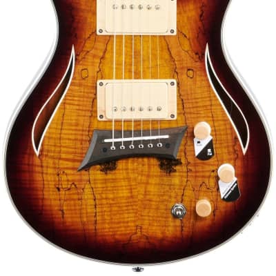 Michael Kelly Hybrid Special Electric Guitar, Pau Ferro Fingerboard, Spalted Maple Burst image 2