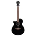 Ibanez AEG50L Left-Handed Acoustic Electric Guitar(New)