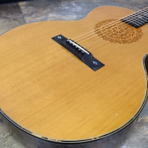 ARIA The Sandpiper SP 100CE [09/06] | Reverb