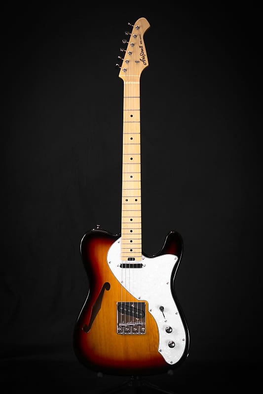 Aria Pro II TEG-TL Thinline Electric Guitar (Various | Reverb