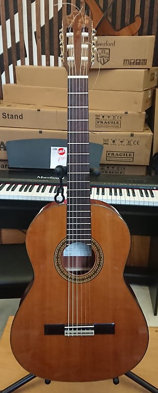 Juan Luis Cayuela Model 8 4/4 Spanish Guitar With Case Second Hand image 1