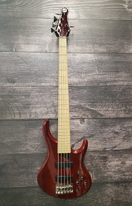 Kingston Z5 5 String Bass Guitar San Antonio TX