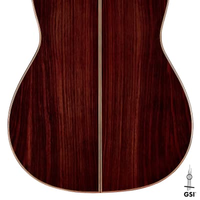 Wolfgang Jellinghaus Torres 43 2022 Classical Guitar Spruce/Indian Rosewood imagen 8